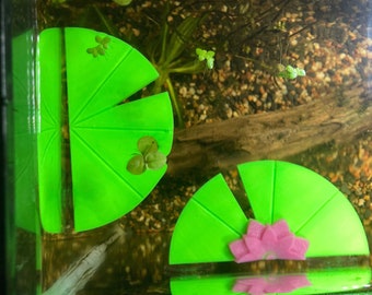 Lilypad Betta Perch | Hamak akwariowy