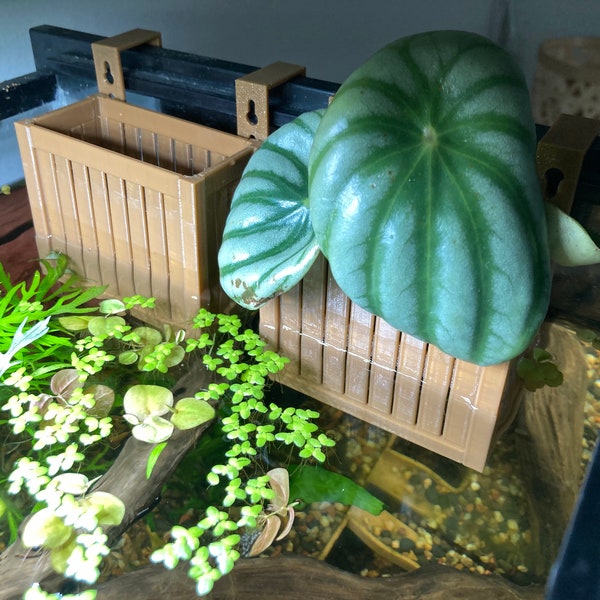 Wooden Garden Hanging Planter | Decorative Aquarium Planter | Aquarium Pothos Planter