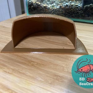 地上水族館洞窟：自然の魚の隠れ家
