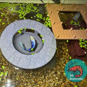 Jetée en pierre flottante : mangeoire décorative pour crevettes et poissons pour aquarium