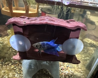 Natural Log Aquarium Hideout | Fish Cave