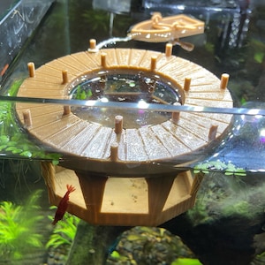 Floating Dock Shrimp Feeder | Decorative Shrimp and Fish Feeder