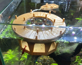 Floating Dock Shrimp Feeder | Decorative Shrimp and Fish Feeder