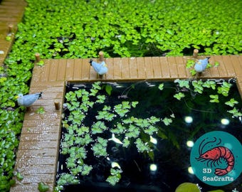 Seagull Decor | Dock Addon | Decorative Aquarium | Water Surface Decoration