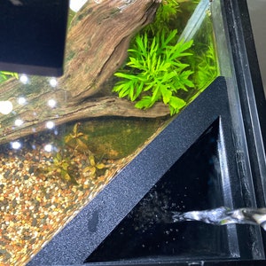 May include: A black plastic aquarium filter with water flowing out of the top. The filter is in a corner of the aquarium, which is filled with gravel and plants.