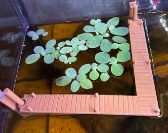 ドック/桟橋フィルターコーナーコラール | 装飾水槽フィルターガード | フローター植物保護