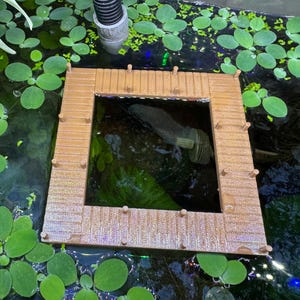 Quadratischer Steg-Futterring: Dekorativer Aquarium-Schwimmer