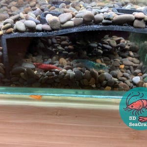 以下が含まれることがあります： 黒いプラスチックの背景と、小さく滑らかな灰色と茶色の石の層を持つ小さな水槽のクローズアップ。水の中に赤いエビと青いエビの2匹の小さなエビが見えます。水槽は木製の表面の上に置かれています。画像には「3D SeaCrafts」というテキストが含まれています。