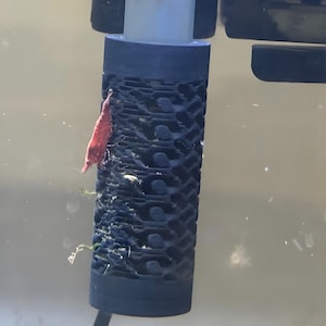 May include: A vibrant red shrimp is attached to a dark blue aquarium filter. The filter has a textured, cylindrical design with oval openings. Small green plants are attached. The background is a light, neutral colour.