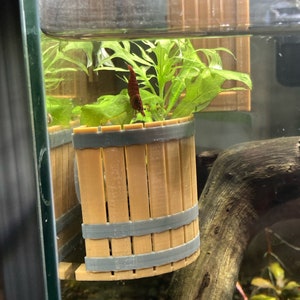 Puede incluir: Un pequeño camarón marrón se encuentra en una maceta de madera en miniatura en forma de barril con plantas verdes. La maceta está suspendida en un acuario de vidrio.