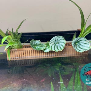 May include: A wooden planter with three plants. The planter is made of natural wood and has a rectangular shape. The plants are green and have large leaves. The planter is sitting on a black surface.