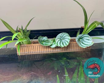 May include: A wooden planter with three plants. The planter is made of natural wood and has a rectangular shape. The plants are green and have large leaves. The planter is sitting on a black surface.