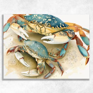 May include: A watercolor illustration of two blue crabs on a sandy surface. The larger crab is positioned above the smaller one, both displaying shades of blue, tan, and white with detailed pincers and legs against a light, neutral background.