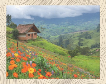 コロンビア　花と生活の風景 油彩画 il_340x270.6111841233_fmav.jpg