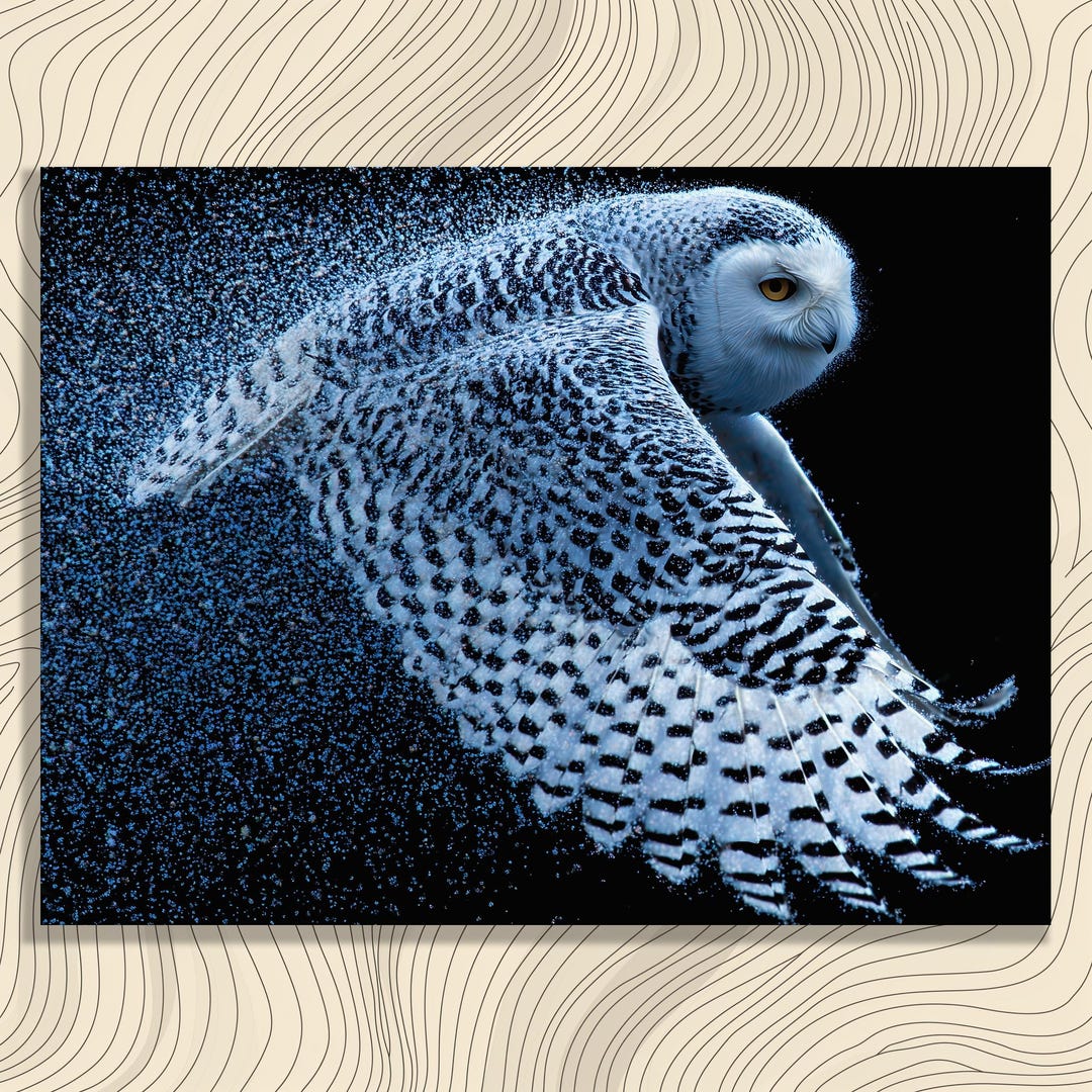 Snowy Owl Canvas Wall Art – Flying Owl Print Black Background Dark ...