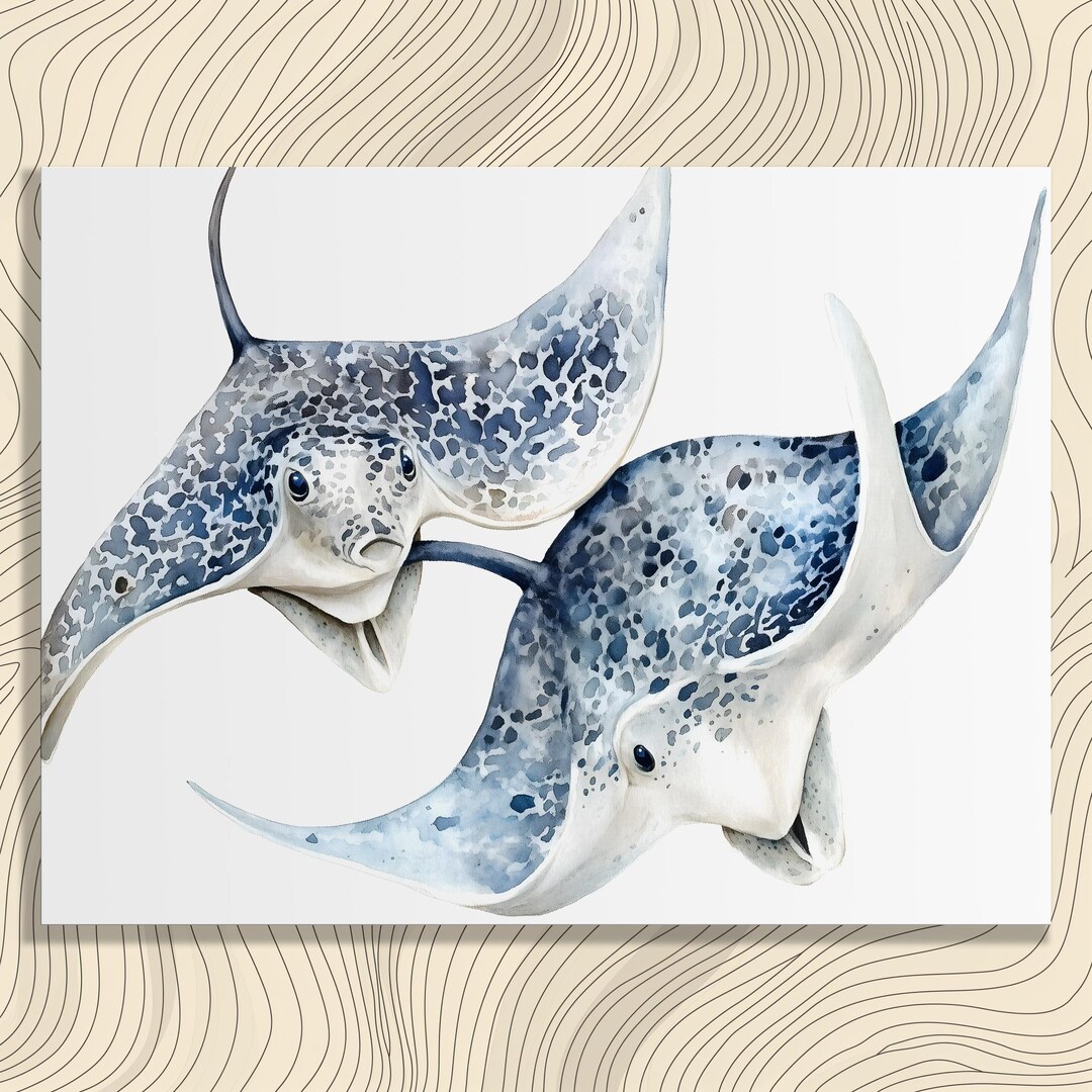 Manta Ray Watercolor Canvas Wall Art - Ocean Stingray Print Coastal Sea ...
