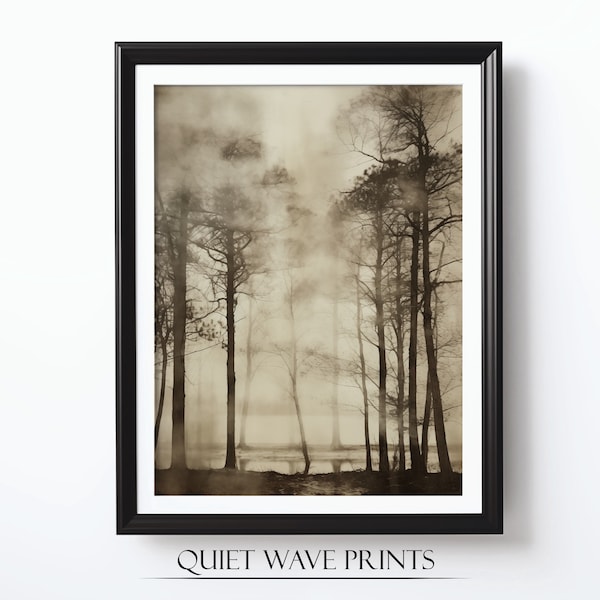 Sepia Trees in a Forest, Digital Download, Faded Vintage Style Print, Tree Wall Art, Black & White Nature, Atmospheric, Printable Art