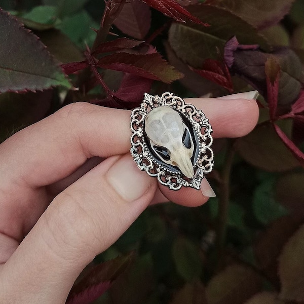 Real skull ring, Victorian Mouse Skull Ring. real bone ring, bone art, skull jewelry, witchy stuff, nature jewellery, Curiosity, Oddit