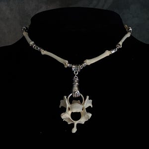 Wervelhanger | Hanger van been | Ketting van been | Amulet van natuurlijk been | Witchy gotische sieraden
