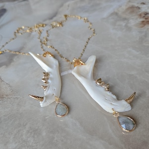 Macabre Jawbone Bead Necklace | Bone Pendant | Bone Necklace | Real Bone Tribal Jewelry | Gothic Witchcore Accessories