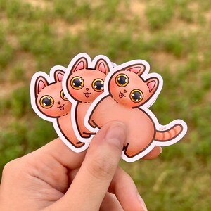 Gatto che ti fissa - Sticker