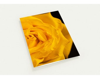 Pack of 10 Greeting Cards: Yellow Rose