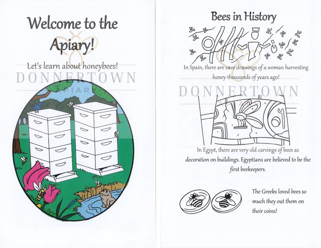 Beekeeping Coloring Book 24 Pages Etsy