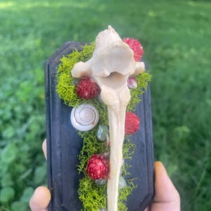 Mira - Bone & Moss Altar Art