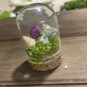 Small Bone Terrarium