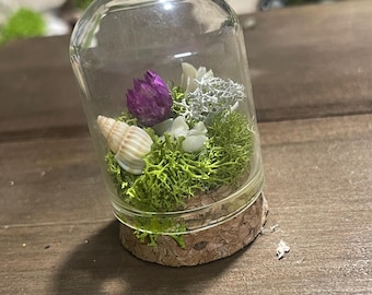 Small Bone Terrarium