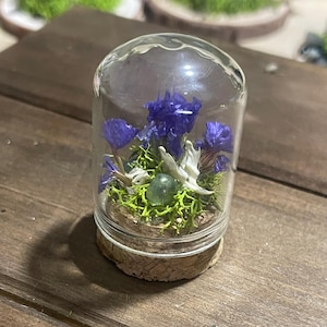 Small Mouse Jaw Bone Terrarium