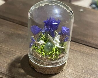 Small Mouse Jaw Bone Terrarium