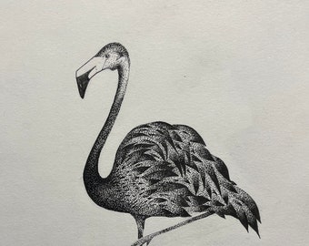 May include: A black and white pen and ink drawing of a flamingo standing on one leg. The flamingo is drawn with a stippled technique, creating a textured look.