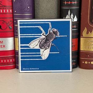 House Fly Sticker