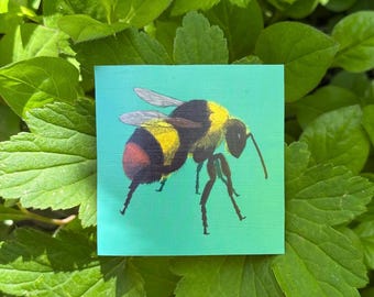 Early Bumblebee Vinyl Sticker