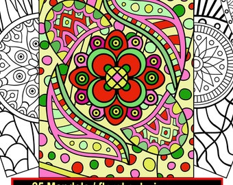 Op de afbeelding: Een kleurrijke mandala kleurplaat met een grote bloem met ingewikkelde details. De pagina is omgeven door een rand van kleinere mandala's en stippen.