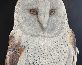 Original Acrylic Painting Owl “Ascension”