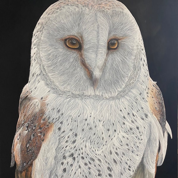 Original Acrylic Painting Owl “Ascension”