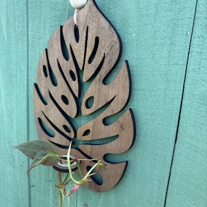 Puede incluir: Un macetero de pared de madera con forma de hoja con un pequeño tubo de vidrio para sostener un esqueje de planta. El macetero es marrón y tiene un diseño recortado que se asemeja a una hoja de monstera. Un pequeño esqueje de planta está en el tubo.