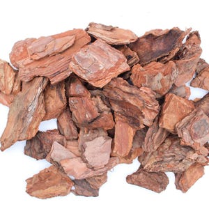 Extra Large Orchid Bark | 2.5”- 4” Pieces | JUMBO Bark | Premium Natural Bark | Natural Bark for Orchids, Aroids & Indoor Plants