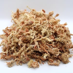 Premium New Zealand Sphagnum Moss – Ultra Plush and Decorative | Perfect for Propagation, Terrariums, Orchid Mounting, & Reptile Habitats