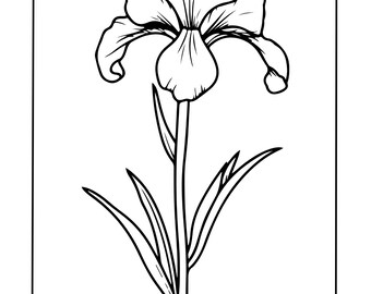 Cahier de coloriage pour l'affirmation de la naissance