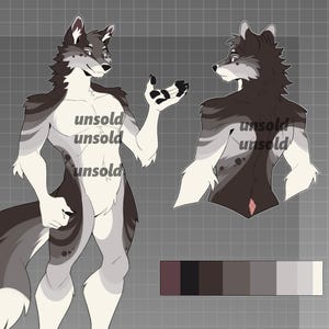 wolf canine reference furry adoptable fursona