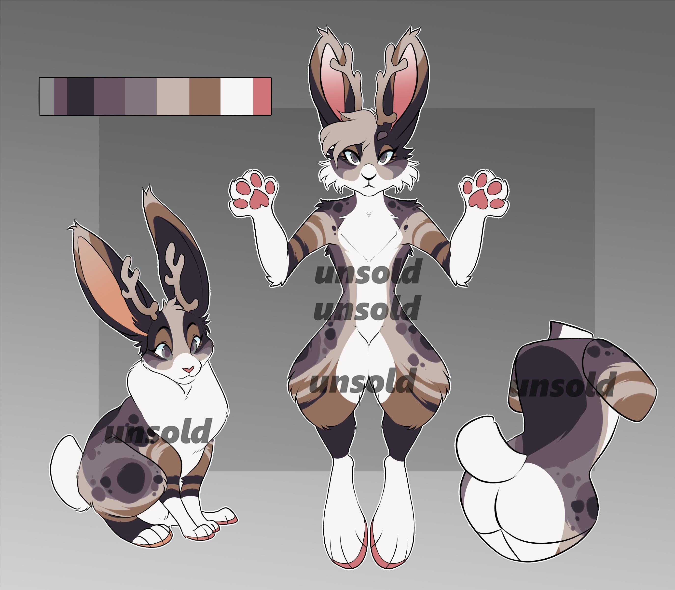 Cat Rabbit Hybrid Fursona