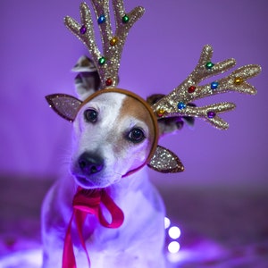 Cartes de Noël, modèles numériques DPP, cartes de Noël modifiables et personnalisables, oeuvre d'art murale pour célébrer les fêtes qui approchent.