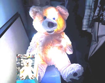 Ghost Hunting Equipment 28cm Trigger Object Bear with ReM Device: Paranormal Investigation Equipment - Ghost hunting gear