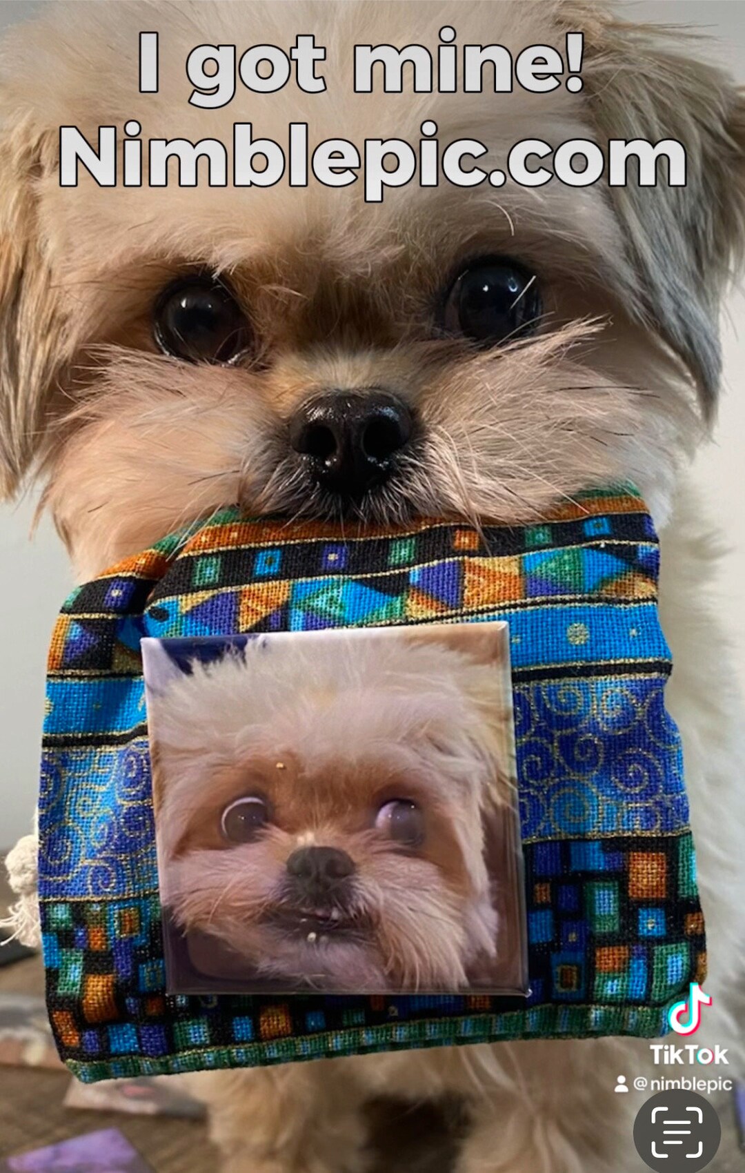 9 Custom Photo for 14.99, Picture Refrigerator