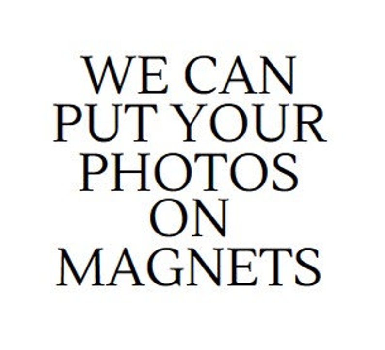 Custom Fridge Owl Perfect for Organizing Notes. Photo