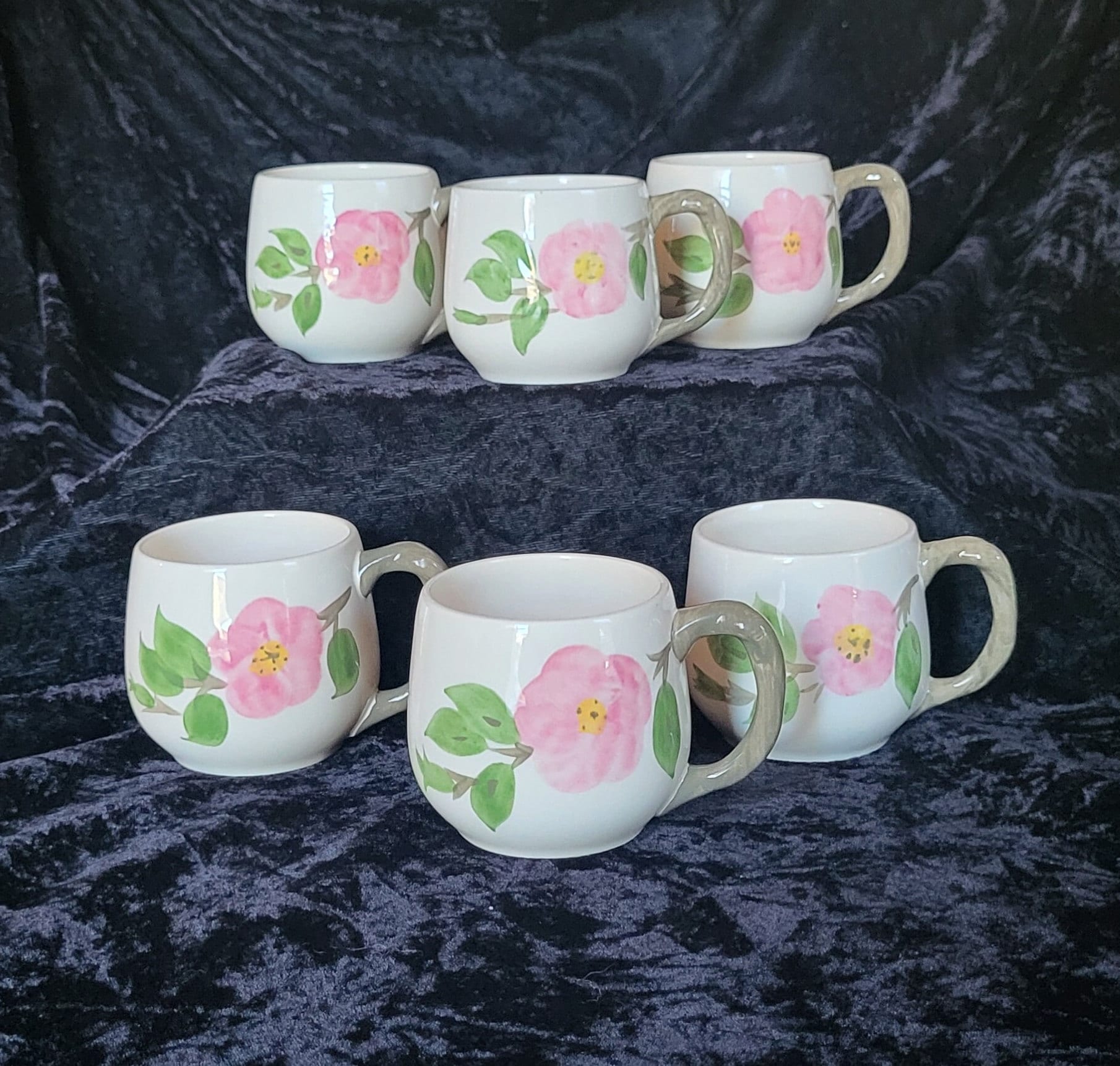 Desert Rose Teacup