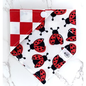 Pode incluir: Bandana para cães com um padrão xadrez vermelho e branco de um lado e um fundo branco com ilustrações de joaninhas vermelhas e pretas do outro. A bandana é presa com um botão de pressão branco.